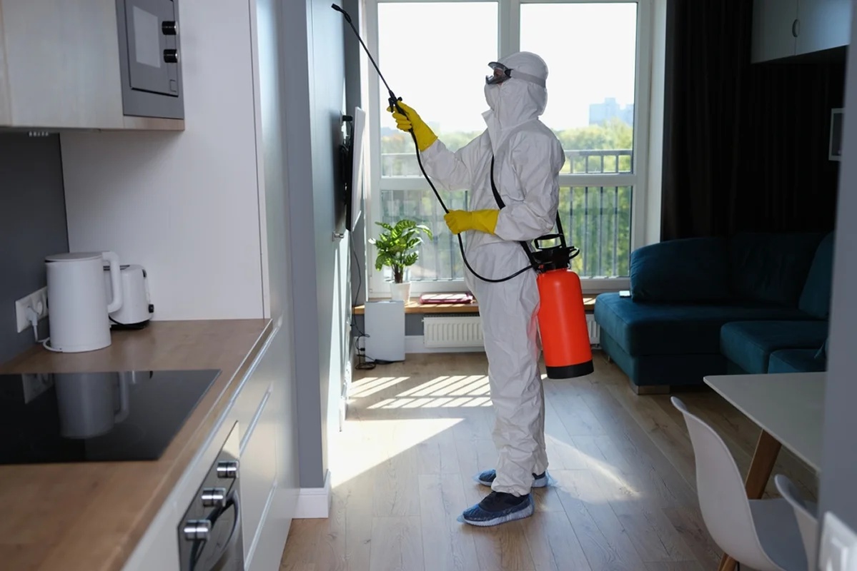 Bp Clean Entreprise De Nuisible Nice Realisation 9